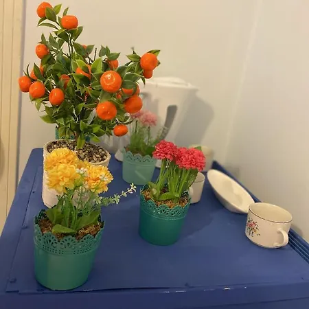 Sultanahmet Blue Viaport Ξενοδοχείο